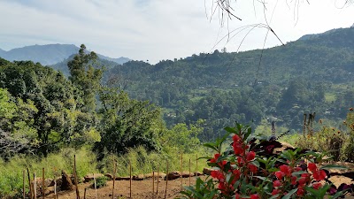 Photos of The Hideaway Hotel