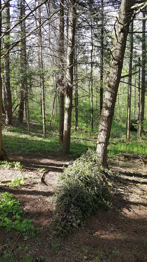 Kurt Beyer Park - Thumbnail