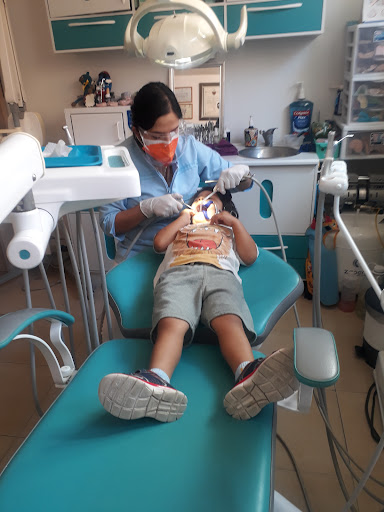 Dental y Ortodoncia Beauty Smile Dra. Paulina Avendaño - Thumbnail