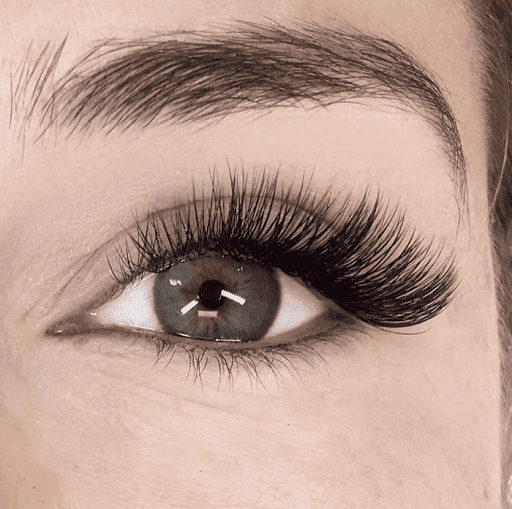 LashTopia - Visual