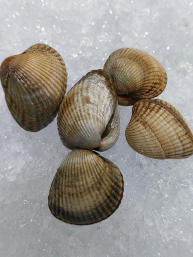 Peixos Eva Gallery - Spain