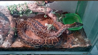 Photos of Safari Veterinary Clinic