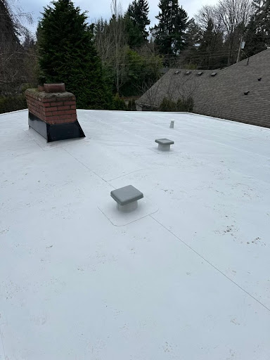Stealth Roofing - Visual