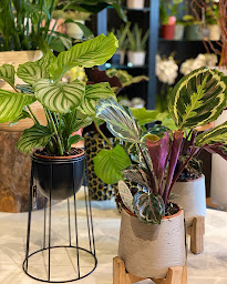 Photo n°19 de Dolce Terra à Évian-les-Bains (Fleuriste)