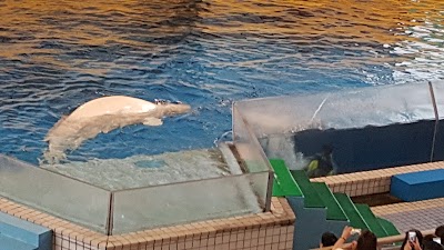 Photos of Ocean World