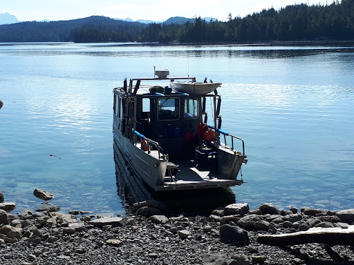 Telegraph Cove Sea Kayaking Company