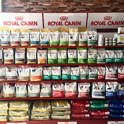 Photos of Pets Oasis Ajman