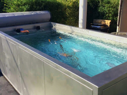 Photo de Viskan Spa France à Alex (74290)