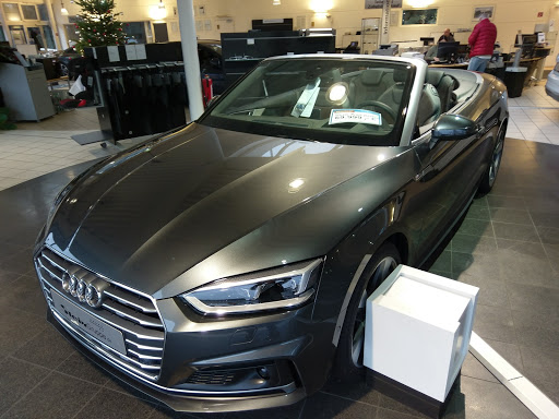 Richard Stein GmbH & Co.KG Audi Service - Thumbnail