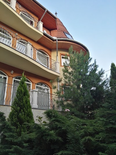 Photos of Hotel Sante