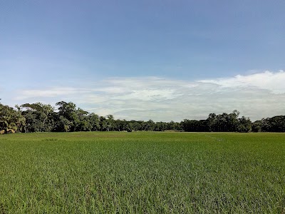 store