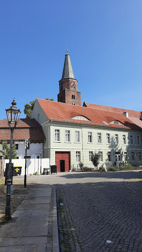Dommuseum - Visual