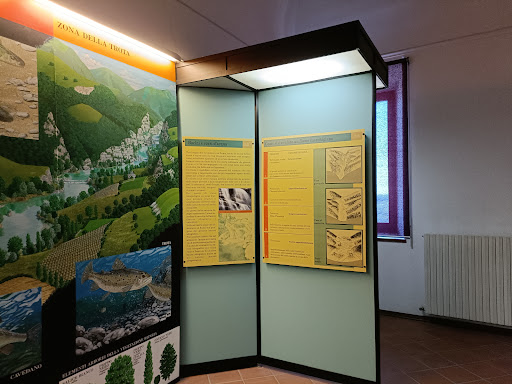 Museo Luigi Paolucci - Thumbnail