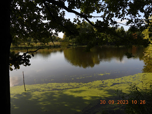 Karthäuser Silbersee