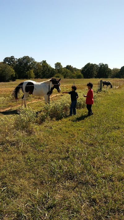 Shelby Farms P2 Uplands Parking Lot