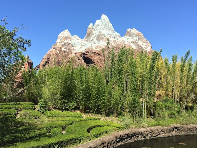 Disney's Animal Kingdom Theme Park