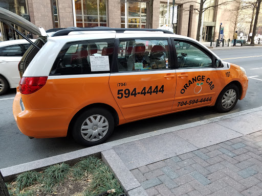 Cab Hound Charlotte - Thumbnail