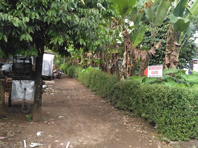clothing-store