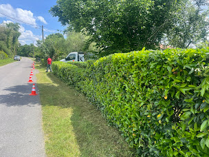 Photo n°11 de Les Beaux arbres Aire sur Adour Elagage à Aire-sur-l'Adour (Service d'élagage)