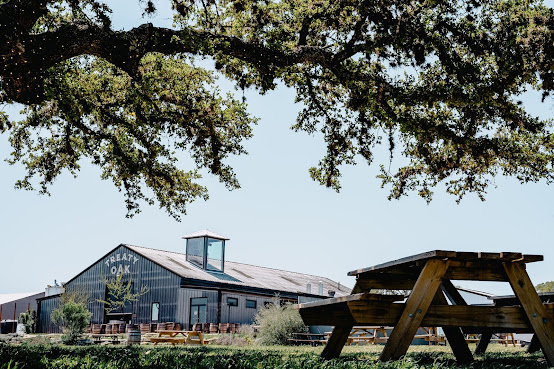 Treaty Oak Distilling by null