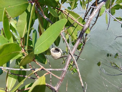 Photos of Ballena Aventura