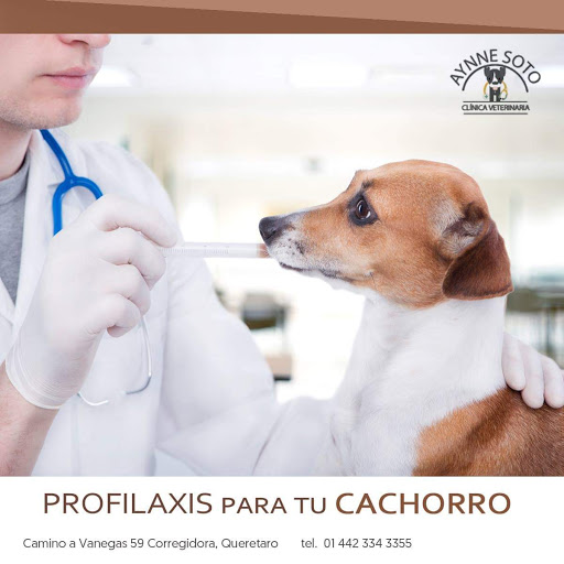 Veterinaria AYSB