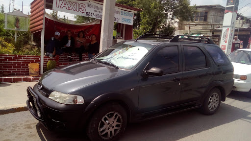 Sitio Union De Taxis De Fraccionamientos N.R S.A De C.V. Base Cantaros2 - Thumbnail