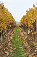 Caveau Le Chai Duchet à Viré