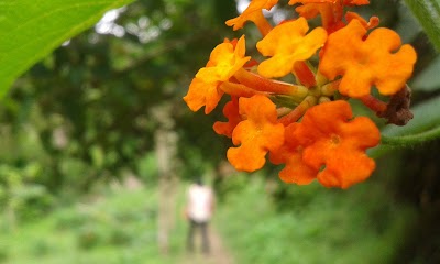 Photos of Gunung Bukit Tunggul