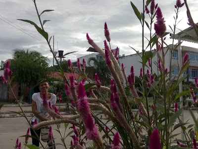 Photos of Museo Criollo