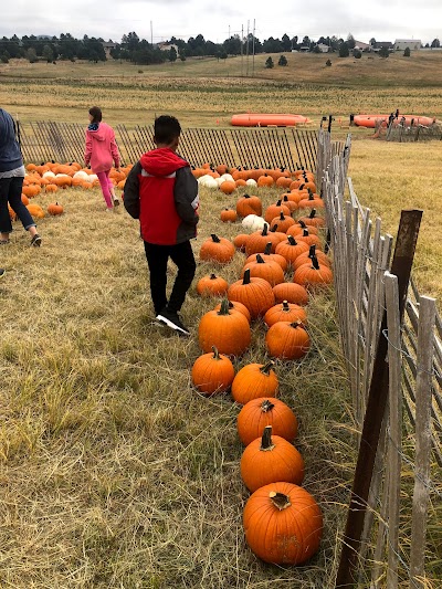 Colorado Pumpkin Patch