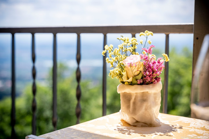 Hotel Colonne by null