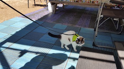 Photos of Parrys RV Park Campground