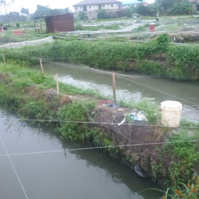Photos of Ekpan Fish Farms