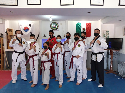 TAEKWONDO RICHARD CHUN UNIÓN DE TULA - Thumbnail