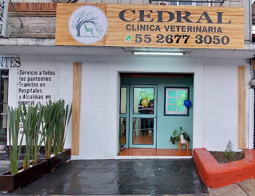 CEDRAL CLÍNICA VETERINARIA - Thumbnail