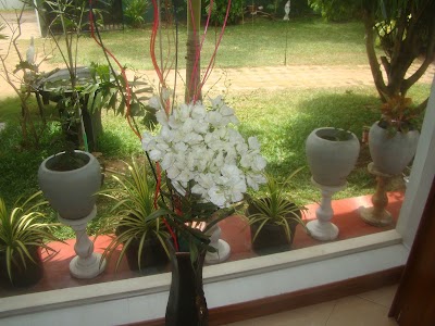 Photos of Pinidiya Resort