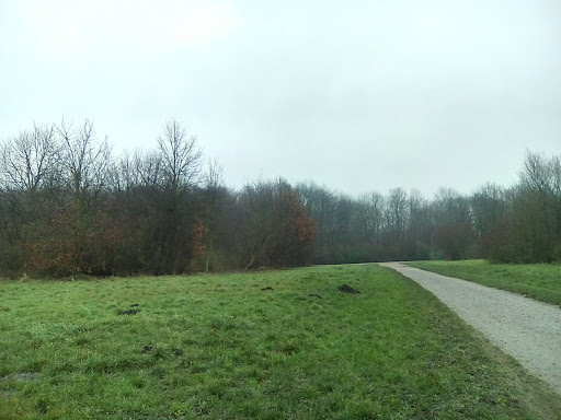 Bezirkssportanlage Rotthausen - Thumbnail