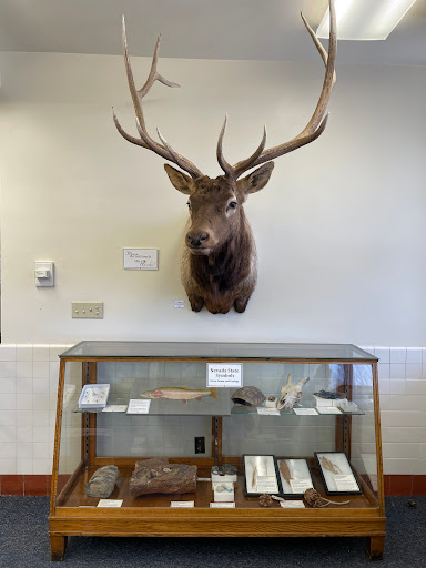 Museum Of Natural History UNR - Thumbnail