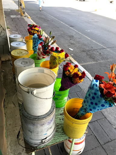 Floristería El Paraiso de Las Flores