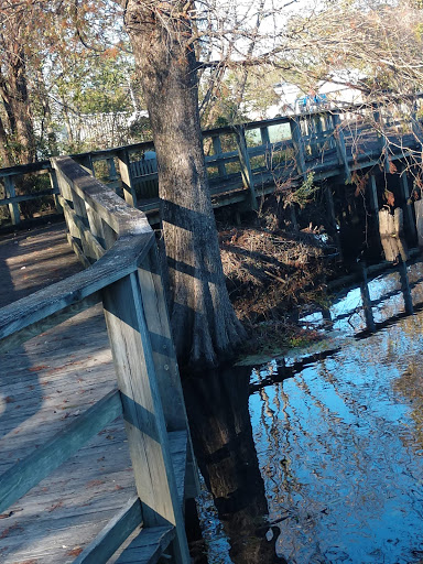 Cashie River Boardwalk - Thumbnail