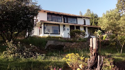 Photos of Villa Patty