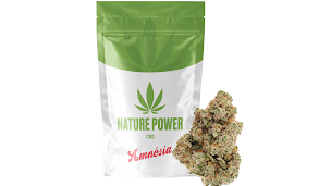 Photo n°3 de Nature Power à Saint-Paul-lès-Dax (Magasin)