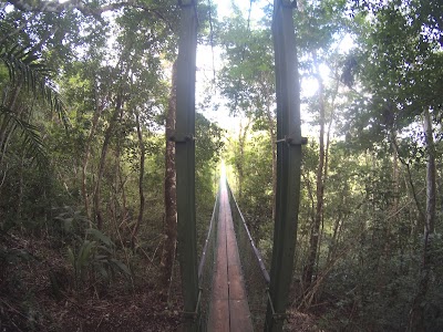 Photos of Ixpanpajul Natural Park