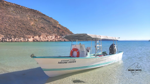 Hakuna Matata Baja Tours Logo