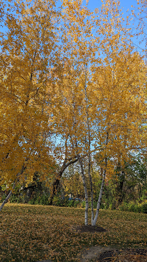 Pollworth Park - Thumbnail