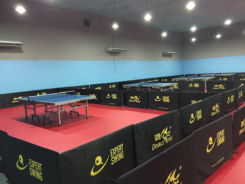 Expert Swing Table Tennis Centre, Author: Ken CHin