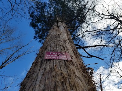 Ivy Creek Park