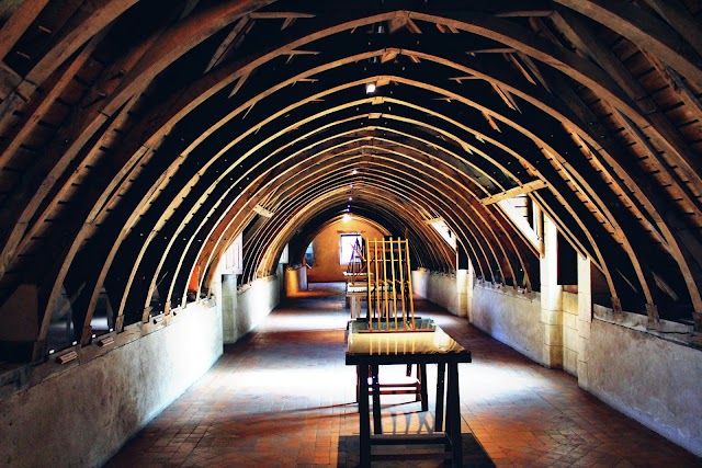 Chateau de Fougères-sur-Bièvre