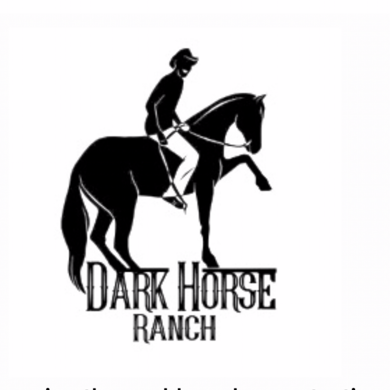 Dark Horse Ranch - Horse Boarding , Leasing ,Riding Lessons and Filming ...